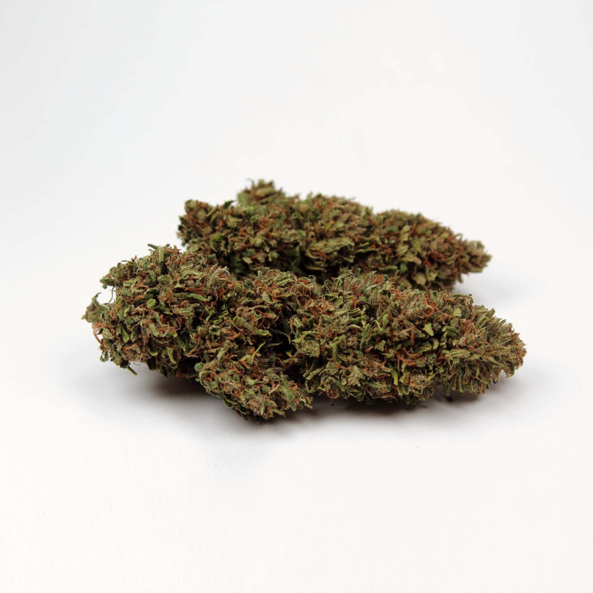 Pinewalker Topskud